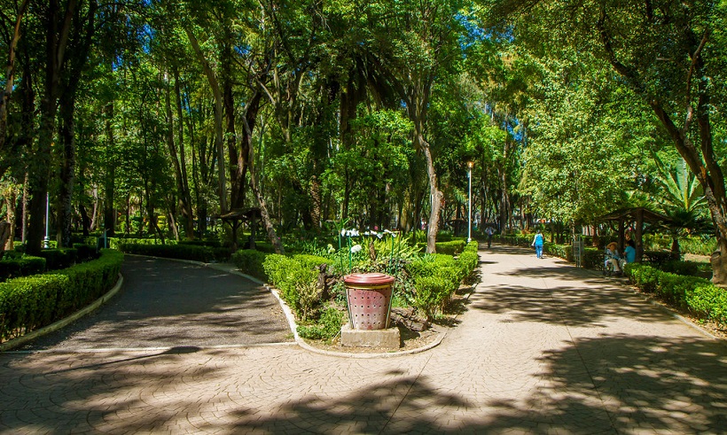 Parque México, el mejor lugar para pasear a tu perrhijo - CaminanBlog